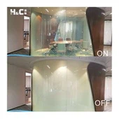 Kính phủ sương điện